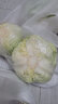 京百味圆白菜（大头菜）1.5kg 实拍图