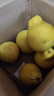 柚满园【纯甜不酸】梅州沙田柚子正宗特产广东金柚碌柚新鲜水果沙甜柚 小果6个带箱9-10斤 实拍图