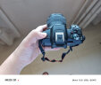 佳能（Canon）EOS R50 入门级微单反 半画幅数码相机 4k美颜小巧便携 EOS R50(RF-S 18-45套装）黑旅行版 晒单实拍图