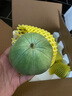 无名农夫绿宝石甜瓜小香瓜蜜脆甜瓜头茬新鲜应季绿皮瓜水果整箱礼盒生鲜 9个果（单果150g-200g） 实拍图