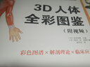 3D人体全彩图鉴套装（精装书1本+视频+海报+飞机盒）人体医学全彩解剖图神经系统讲解法医解剖书外科医生学生书医学书籍 实拍图