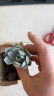 轩林美 多肉植物 贵货肉肉盆栽绿植花卉 蓝鸟(4-6cm) 实拍图