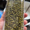 人民食品 有机绿豆400g 可打豆浆绿豆糕绿豆汤夏日清凉降暑企业福利 实拍图