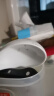 景德镇（jdz）家用饭碗中式陶瓷碗高温白瓷沙拉碗搬家礼物餐具散件端午节礼物 玉牡丹大汤匙单个 实拍图