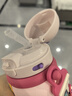 babycare儿童保温杯婴儿吸管水杯水壶不锈钢保温杯上学450ml-新旧款混发 实拍图