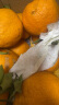 生活＆好管家四川丑橘不知火新鲜水果桔橘子丑柑丑八怪整箱 (80-85)大果带箱5斤(净重4.5+) 实拍图