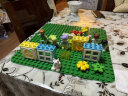 乐高（LEGO）积木拼装得宝10993 3合1创意树屋大颗粒积木桌儿童玩具儿童节礼物 实拍图