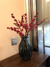 临雅北美冬青红果鲜花切枝鲜切花水培水养绿植室内年宵花卉真花好养活 【旗舰款】北美冬青-30cm5支+挂件 实拍图