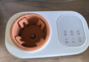 波咯咯（bololo）温奶器摇奶器一体二合一婴儿无水暖奶器奶瓶热奶器自动冲奶机 【经典款】无水暖奶/摇奶/保温/母乳解冻 实拍图