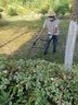 海道汽油草坪机搭载GXV160动力四冲程割草机剪草除草机打草机 雅马哈动力20寸189CC自走草坪机 实拍图