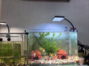 尼奥光鱼缸灯水草灯LED灯S3proRGB植物光谱 8W新款尼奥S3pro【高亮自然版 双倍亮度】 实拍图