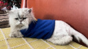 乐卡利 猫咪宠物衣服服饰潮牌秋冬小奶猫防掉毛笑脸卫衣猫猫秋衣秋冬 猫咪衣服【蓝色 XL】 实拍图