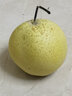 富祺元河北特产赵州赵县雪花梨冰糖雪梨脆甜多汁当季水果梨子新鲜 雪花梨4.5斤 实拍图