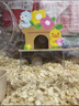 布卡星（BUCATSTATE）仓鼠躲避屋小黄鸭BeanDuck联名款系列木质窝房子造景专用品 【小黄鸭Bean Duck款】花花乐园 晒单实拍图