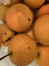 樱慕晴【JD地标认证】正宗辽宁鞍山南果梨东北特产南国梨香水梨新鲜水果 【高端阳面果礼盒】约20枚 4.5斤 实拍图