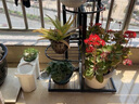 欧琪美花架子客厅落地式多层铁艺花架室内绿萝盆阳台花盆植物摆放置物架 黑色【3层4盆】【高：68cm】 实拍图