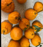 京鲜生 四川不知火丑橘4.5-5斤 单果70-75mm 水果礼盒 源头直发 包邮 晒单实拍图