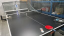 庞伯特（pongbot）omni乒乓球发球机 家用自动发球机器 OMNI增强版 晒单实拍图