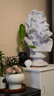 索尼（SONY）【保价11.11】FE 70-200mm F2.8 GM OSS II 全画幅远摄变焦G大师镜头(SEL70200GM2) 实拍图