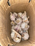 静益乐源山东紫皮蒜大蒜干大蒜蔬菜批发干蒜自种大蒜种子多瓣蒜当季蔬菜 【中果45mm】精品大蒜2斤 精选今年大蒜 实拍图