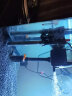 森森（SUNSUN）鱼缸加热棒自动恒温水族箱防爆加热器鱼缸水族用品 高硼硅玻璃200W(27.5cm长) 实拍图