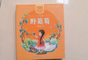 小巴掌童话/百年百部美绘注音版 张秋生童话作品集 实拍图