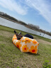 拜杰（BAIJIE） 充气沙发太阳花色户外气垫床便携懒人野营折叠躺椅网红充气垫 枕头款-太阳花 实拍图