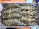 京鲜生 黑虎虾大号高品质海鲜大虾生鲜虾类 15只/盒 净虾800g 实拍图