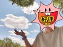德玛纳（dme）衬衫桑蚕丝圆领短袖T恤衬衣轻薄休闲真丝女上装 灰绿 L 实拍图