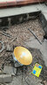 欣达（xinda） 户外登山绳水灾救援绳漂浮救生绳水上安全绳轻便耐磨晾衣晒被绳 10毫米40米+锁扣+收纳袋 实拍图