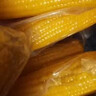 东北农嫂糯玉米甜糯香粘真空装黏玉米棒吉林产低脂主食可选有机 【爆款推荐】黄糯礼盒1.6kg约8根 实拍图
