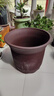 宜兴特大种树紫砂花盆绿萝盆景多肉种菜兰花盆圆口透气超大陶瓷盆 101特大号 实拍图