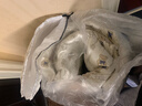 洁丽雅（Grace） 旅行一次性床单被套罩枕套加厚套装酒店床上用品双人款四件套 实拍图