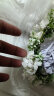 乐卡利ins森林系花朵新娘花环头饰度假配饰婚纱摄影写真绿植婚礼发饰 玫瑰花环-米色 晒单实拍图