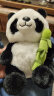 尚韵毕业生日礼物女抱竹竹筒熊猫玩偶毛绒玩具公仔儿童节玩具娃娃 实拍图
