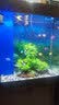 百因美鱼缸净水包水族箱控藻除黄水水质清澈剂水族滤材300ml 实拍图