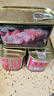 梅林午餐肉罐头 小黑猪火腿肉罐头198g 方便面火锅食材搭档 中粮出品 实拍图