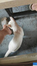 美滋元猫条猫零食 流质猫条湿粮成幼猫全猫咪通用 三文鱼 猫条12g*15支 实拍图
