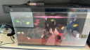 米家智能鱼缸小米智能鱼缸小型客厅水族箱自动喂食智能联动生态过滤 米家智能鱼缸 晒单实拍图