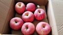 吉县苹果【爆甜】2025正宗吉县苹果脆甜多汁壶口苹果新鲜水果整箱产地直发 【8.5斤】80mm中果【21颗左右】 当季吉县壶口苹果 实拍图