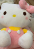 Hello Kitty三丽鸥KT猫毛绒玩偶玩具抱枕女孩娃娃元旦新年礼物女孩生日礼物 实拍图