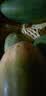 探味君 海南红心木瓜水果新鲜冰糖心牛奶木瓜整箱 净重4.5-5斤【超值装】 实拍图
