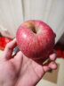 洛川苹果陕西延安红富士时令苹果水果礼盒糖心苹果生鲜脆甜整箱好吃新鲜 10斤铂金果180g+（净重8.5斤） 实拍图