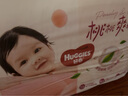 好奇（Huggies）铂金装纸尿裤小桃裤婴儿尿不湿宝宝幼儿干爽超薄透气瞬吸京东快递 L76片 纸尿裤 【9-14kg】 实拍图