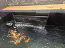森森（SUNSUN） 鱼缸鱼捞捞鱼网兜水族箱抄网方形小型鱼网捞 超大号渔捞(渔网长29宽24cm)可伸缩 实拍图