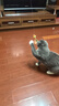 赞宠 三节伸缩杆逗猫棒 猫咪棒长杆羽毛钓幼猫玩具铃铛耐玩逗猫神器 实拍图
