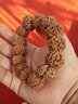 今夕尼泊尔大金刚菩提子手串爆肉满肉五六瓣矮桩高密度沉水佛珠念珠男 大金刚双龙纹 6瓣满肉 20mm 实拍图