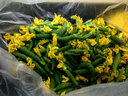 小黄瓜花新鲜青瓜花小嫩黄瓜顶花西餐厅生吃新鲜蔬菜 500g 实拍图
