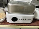 蓝宝（BLAUPUNKT）聚能鲜蒸锅不锈钢电蒸锅蒸炖锅多功能家用隔水炖盅全自动预约蒸汽锅电煮锅电炖锅 10L 【双层】不锈钢电蒸锅 实拍图