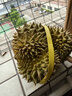 京鲜生 进口金枕头榴莲 净重5-6斤 1个装  鲜果 生鲜 新鲜水果 实拍图